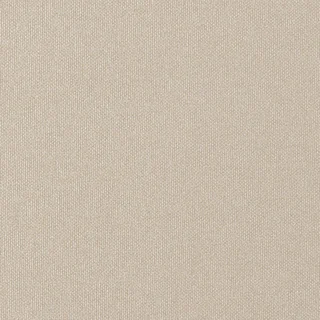 Chrome cover material in Champagne