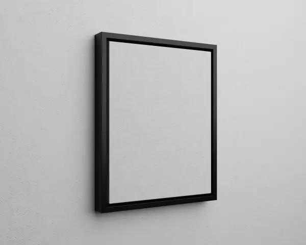 Framed Canvas