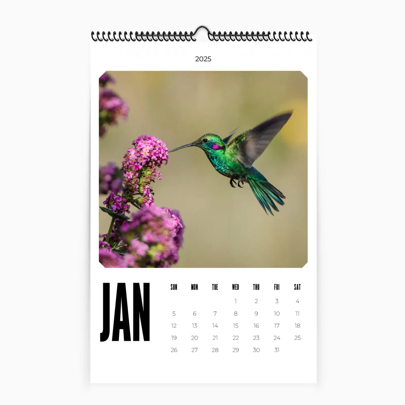 Large 11x17 hanging wall calendar