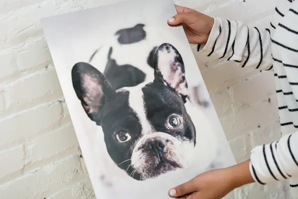 Metal Prints
