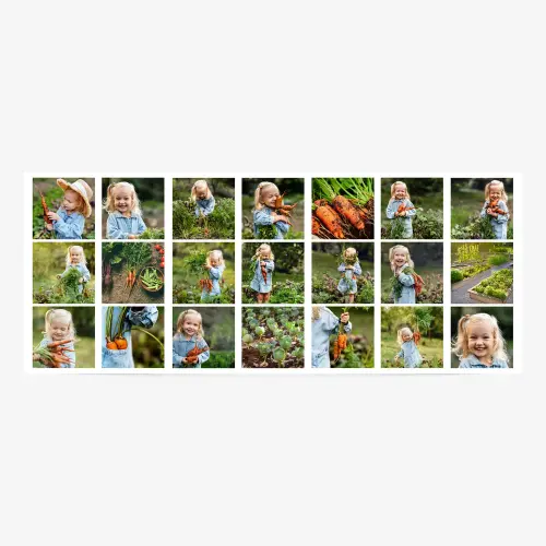 21 image collage photo banner