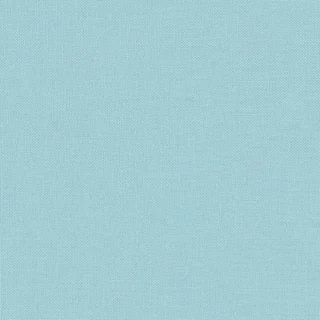 Bookcloth cover material in Baby Blue