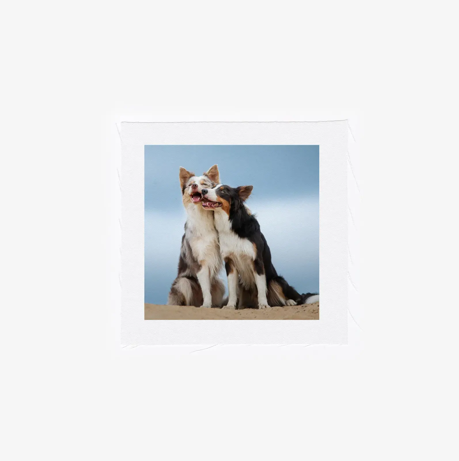 Custom photo quilt square 8x8