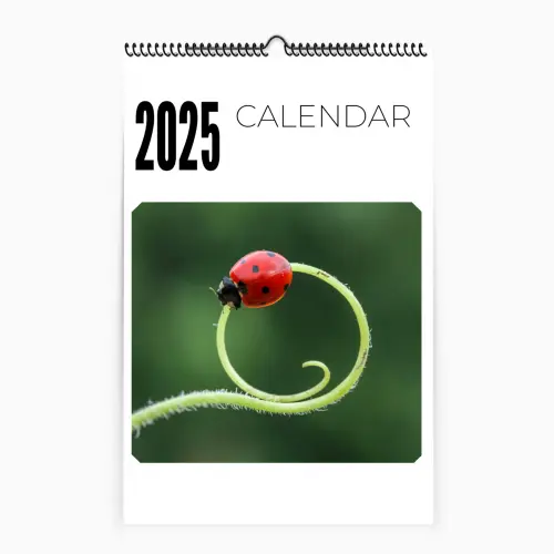 Top bound hanging photo wall calendar