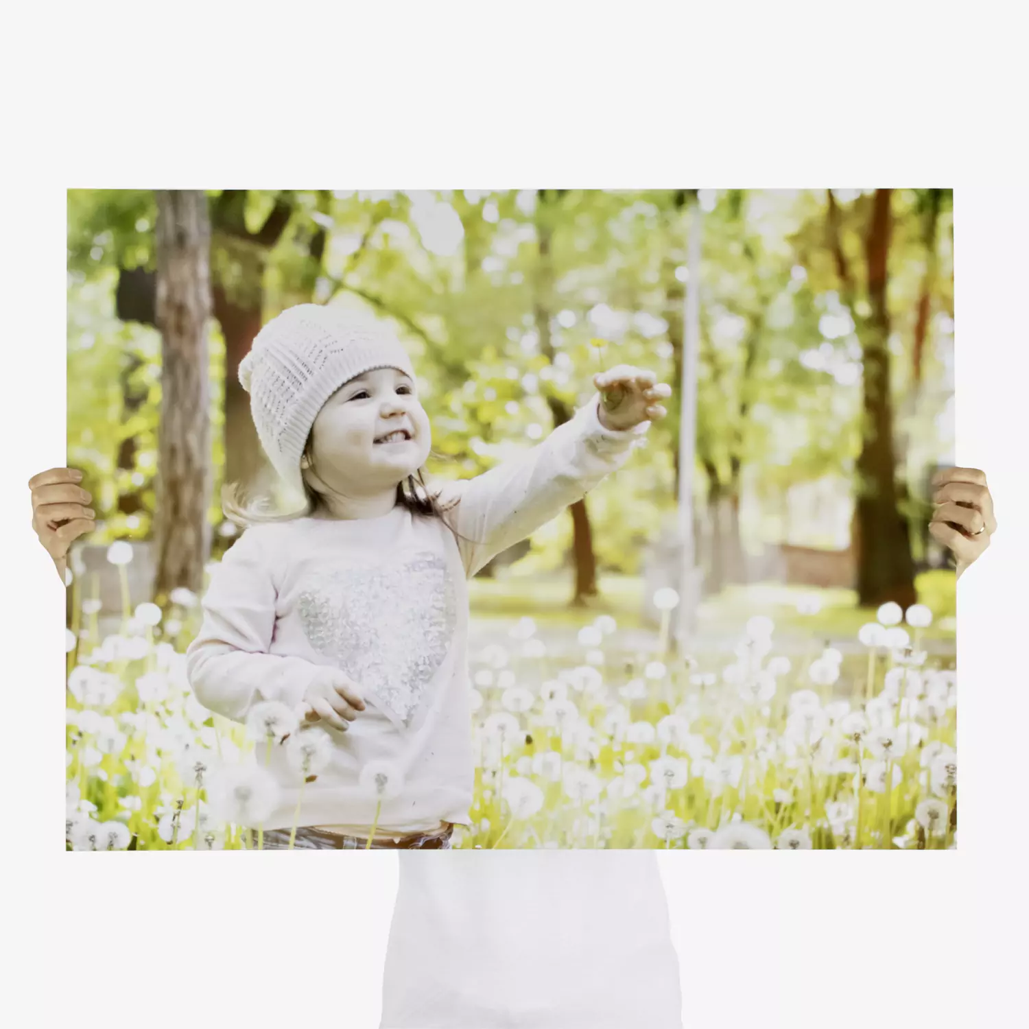 poster photo format 60x80 cm horizontal