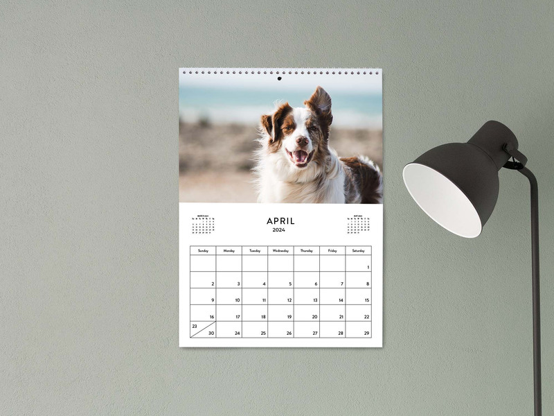 2024 Calendar With Dog Photo