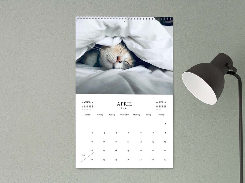Photo calendar with image of a kitten snuggling 