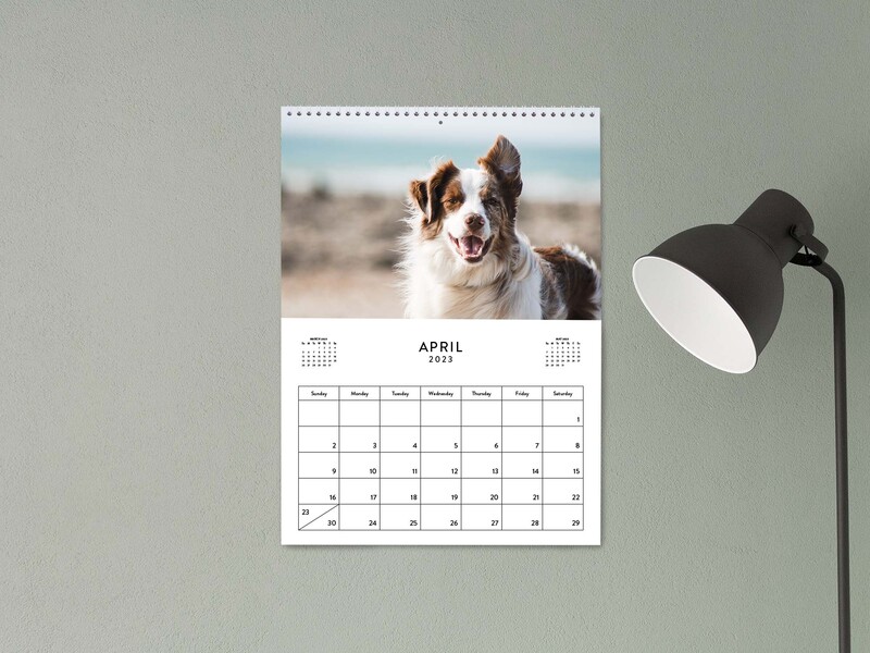 Customized Calendar with an image of a cute brown and white dog