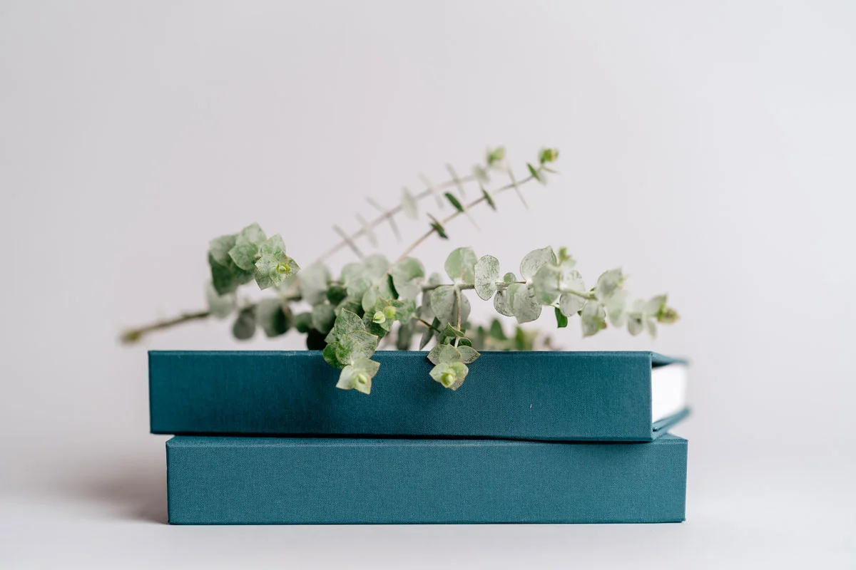 Plant decoration laying on top of Dutch & Deckle newport blue color planner and gift box