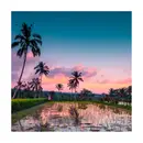 Dutch & Deckle gratitude card with printed image on paper of beautiful sunset, palm trees and water.