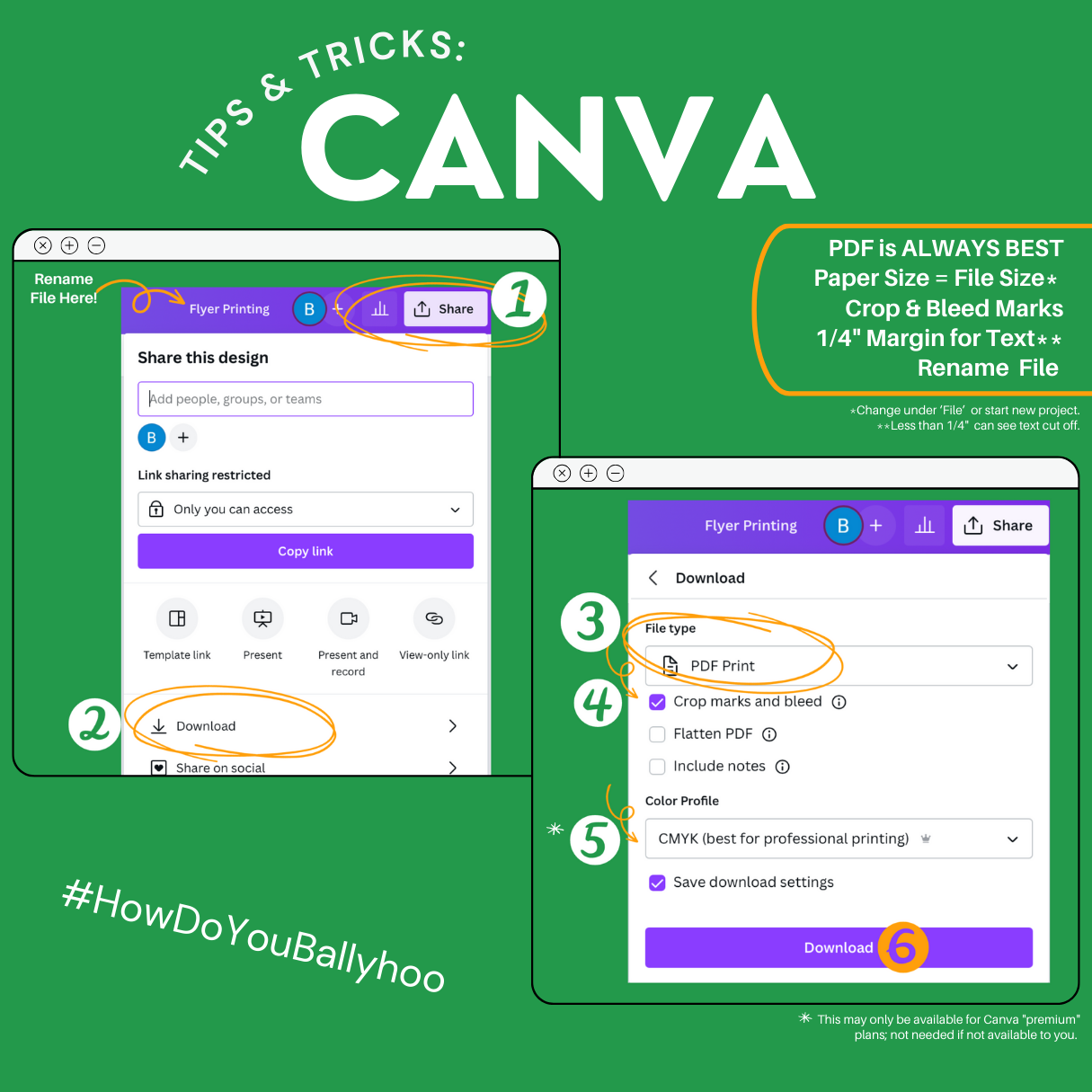 Canva guide