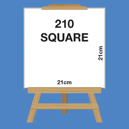 RapidStudio budget boxmount canvas print range online. Size: 21x21cm Pic2