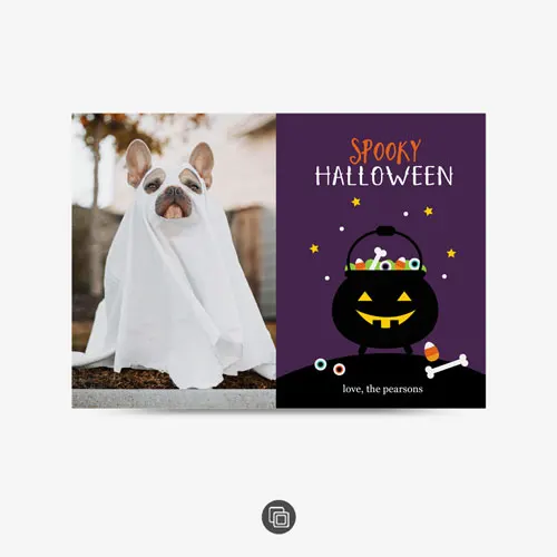 Halloween | Tricks & Treats