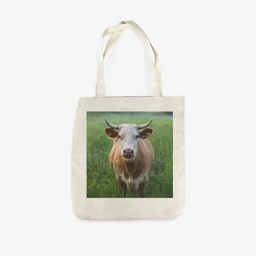 gifts/tote-bag-linen