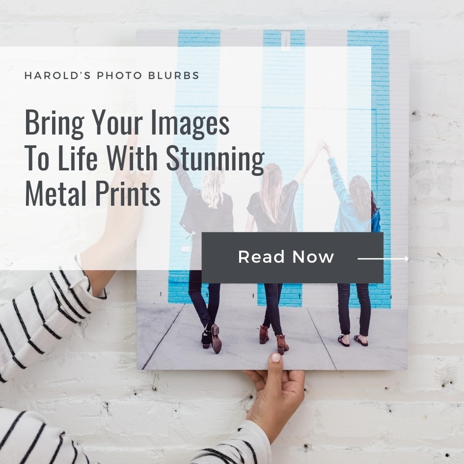 Bring your images to life with stunning metal prints blog by Harold's Photo