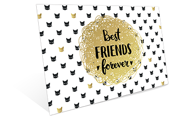 FF - Best Friend Forever