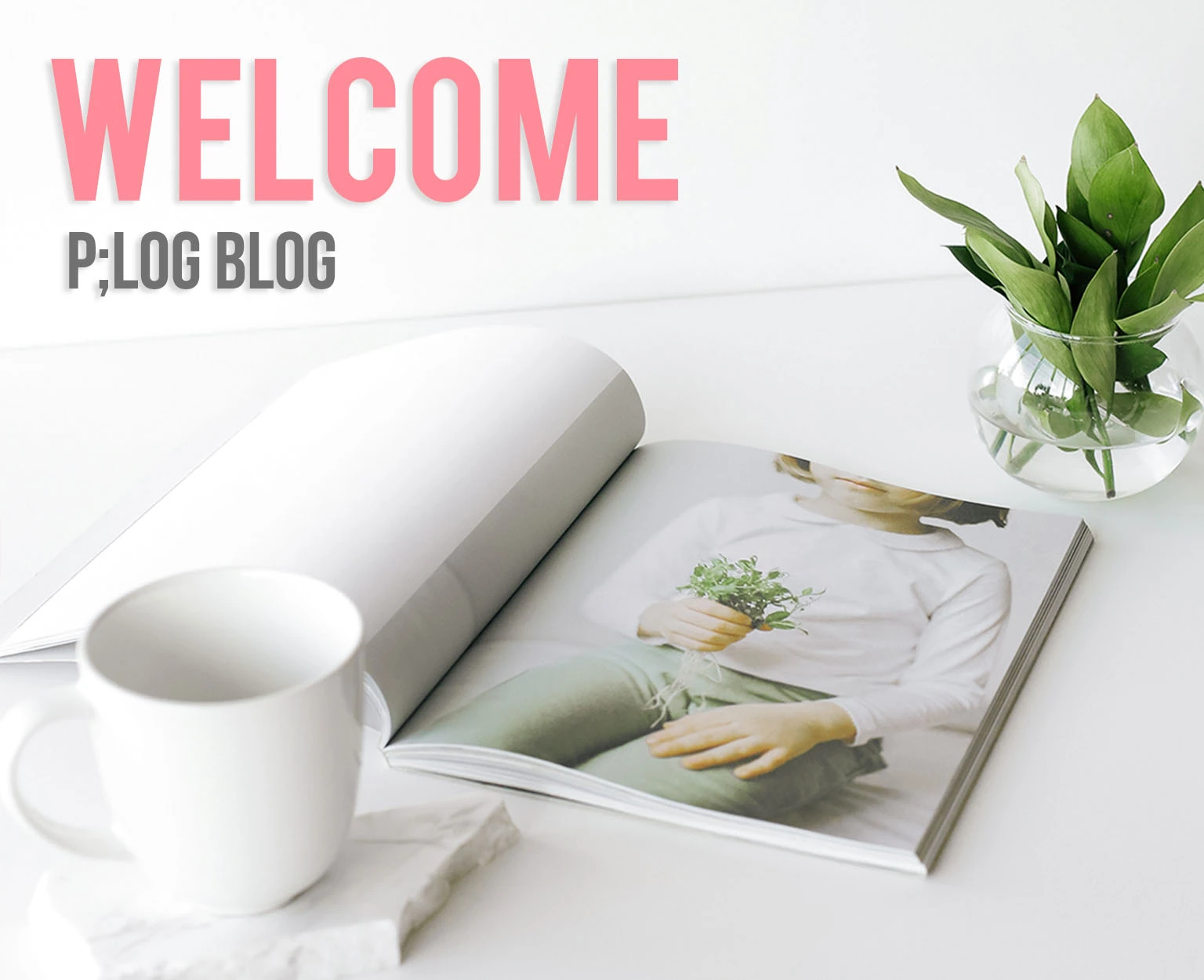 Welcome to p;log's blog!